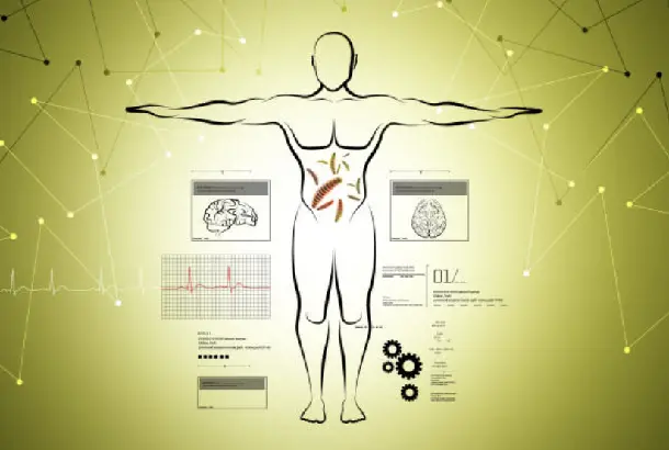 slimming effect slimming effect