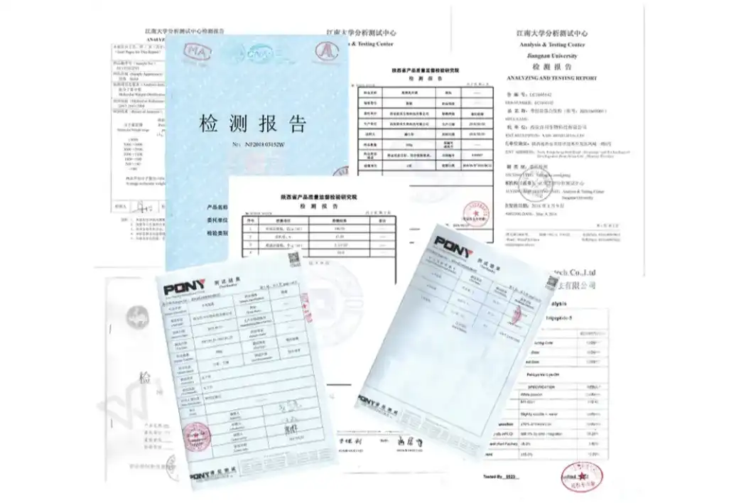 Glibenclamide Powder Test report
