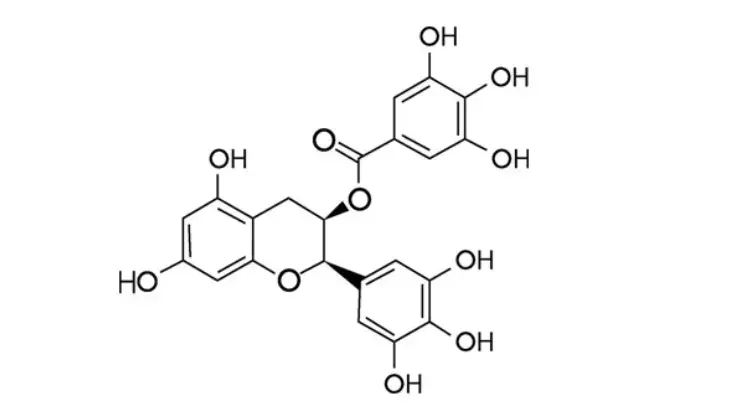 product-1-2