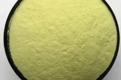 Food grade xanthan gum raw material powder: applications in food & beverage